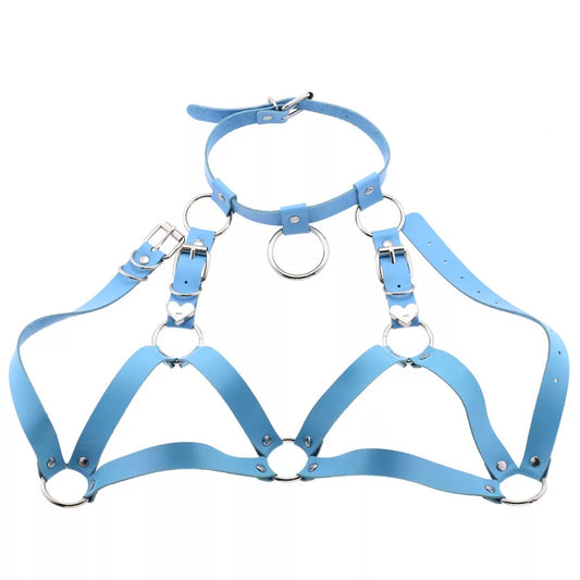 Leather Collar and Chest Harness