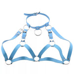 Leather Collar and Chest Harness