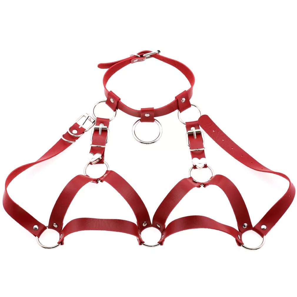 Leather Collar and Chest Harness