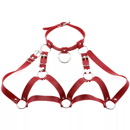 Leather Collar and Chest Harness