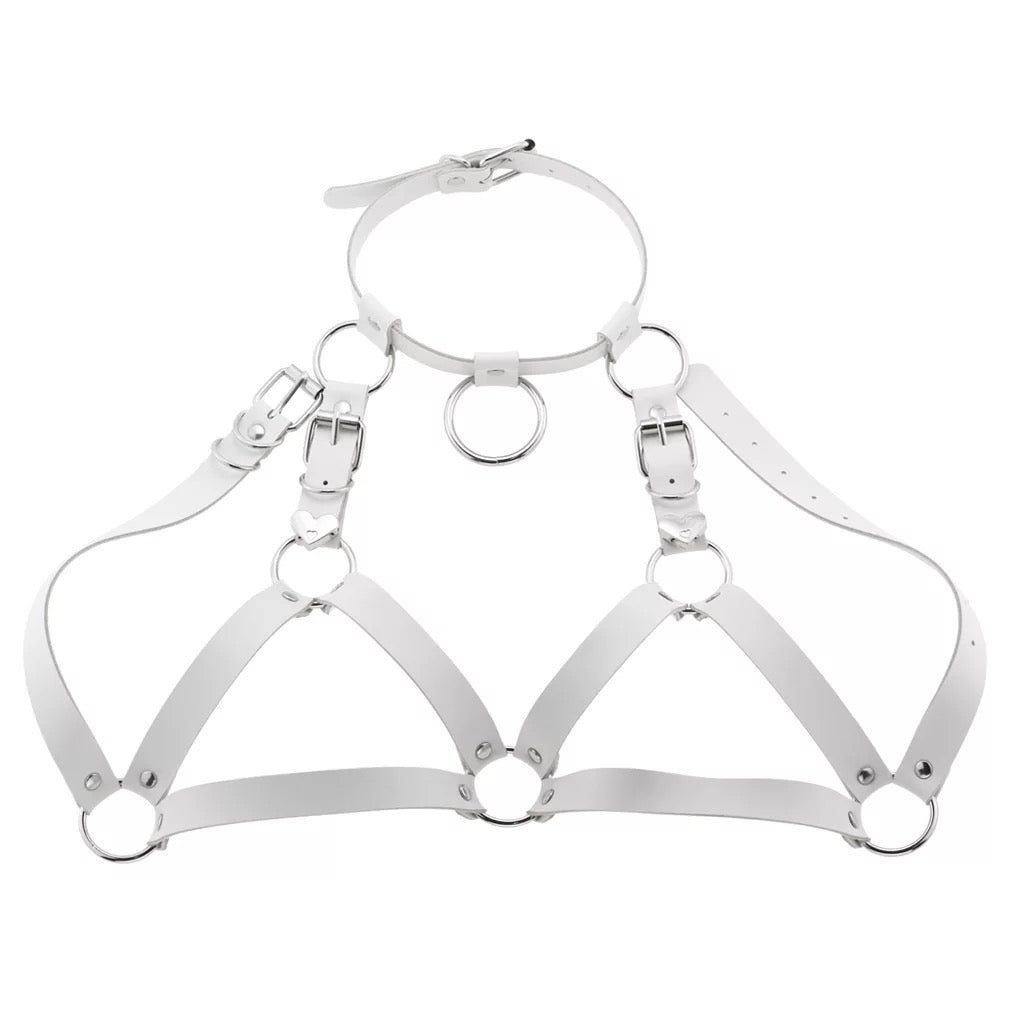 Leather Collar and Chest Harness