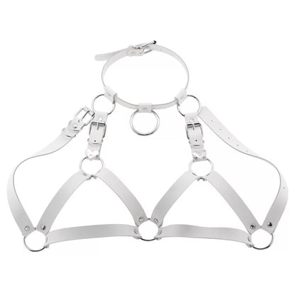 Leather Collar and Chest Harness