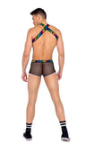 6156 - Mens Pride Harness with Suspenders