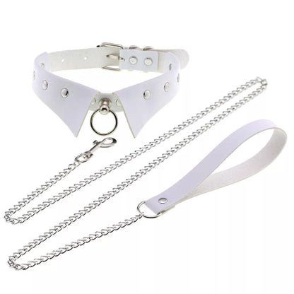 Shirt Collar Choker and Leash